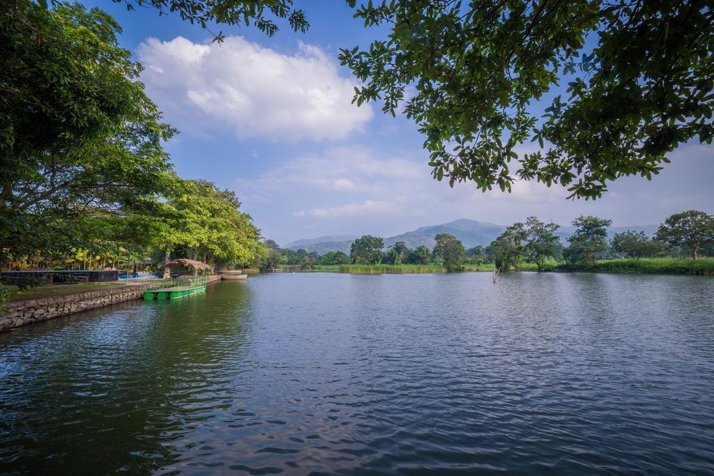 Mps Village Dambulla Exterior foto